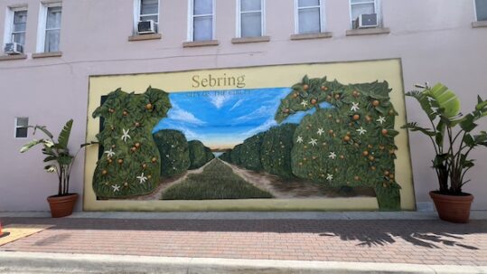 Sebring, Florida features murals on shops in historic downtown. Seen here is a 3D image of citrus groves seen throughout Highlands County.